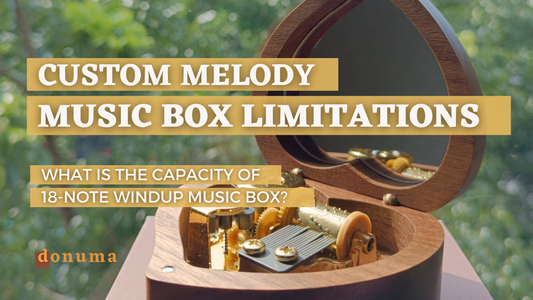 Custom Melody Music Box Capacity