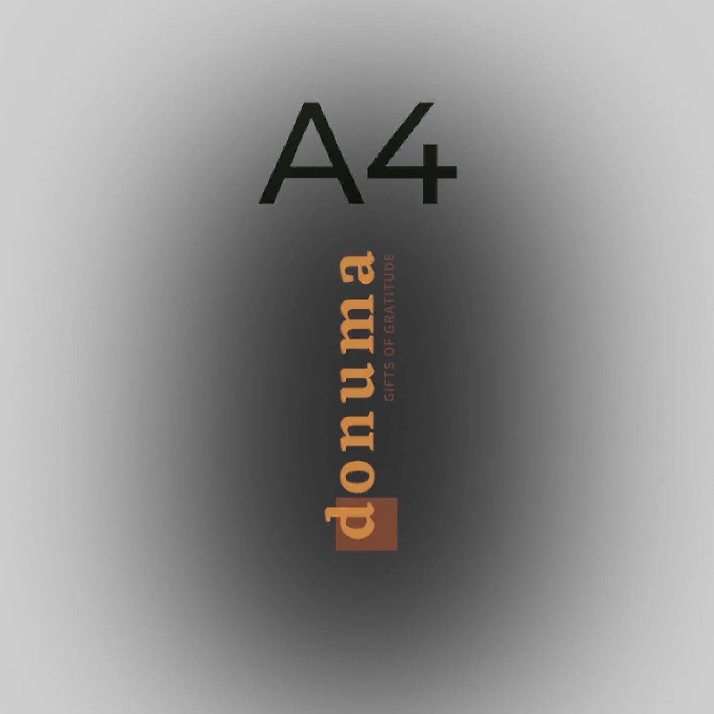 a4-21x29.7cm-8x12in