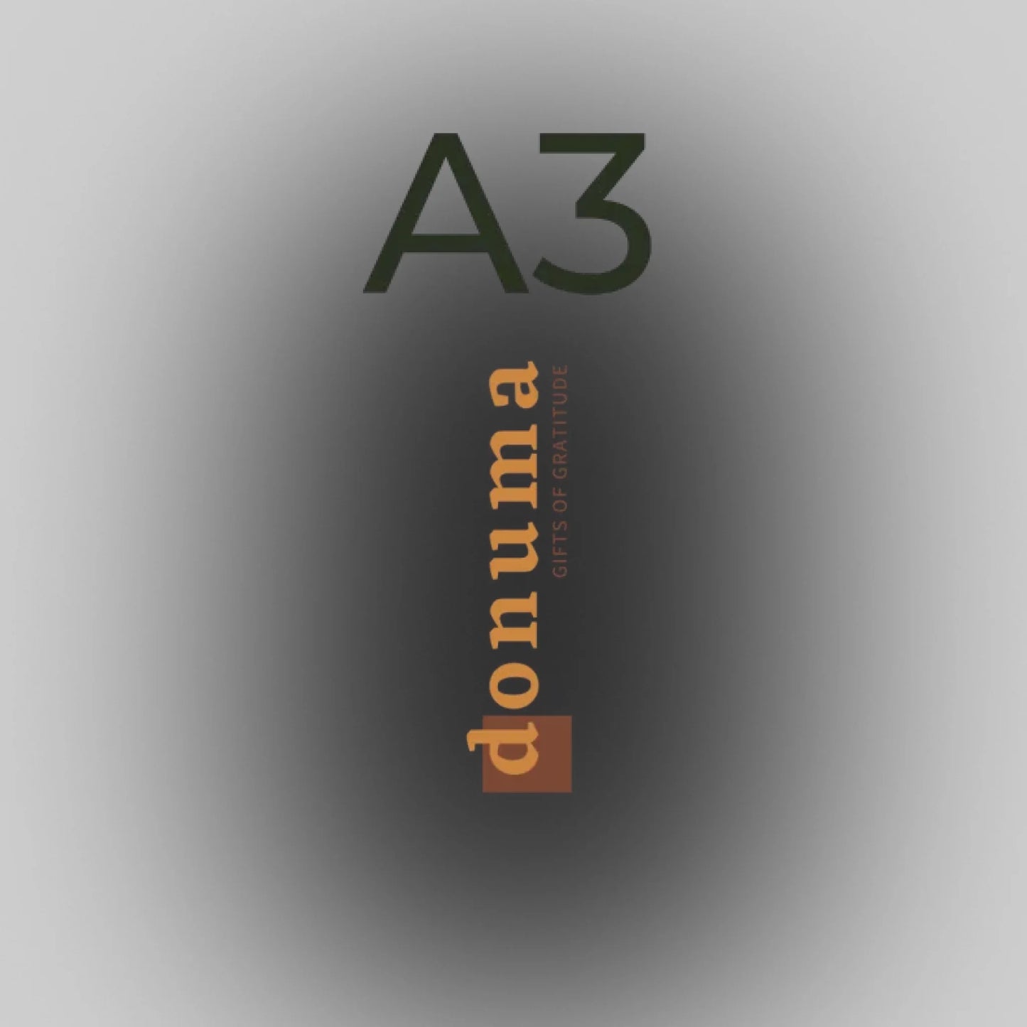 A3 (29.7 x 42 cm)