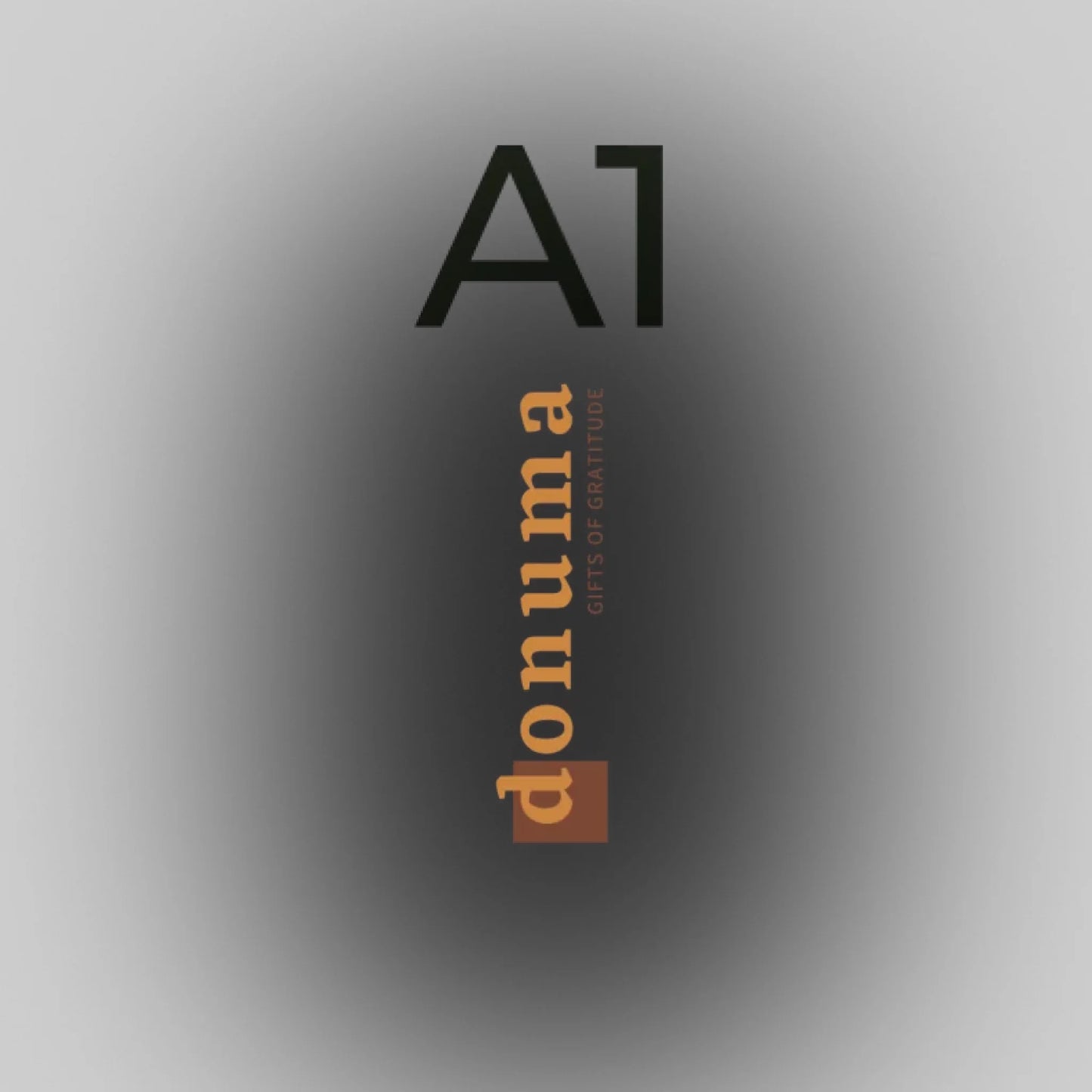 A1 (59.4 x 84.1 cm)