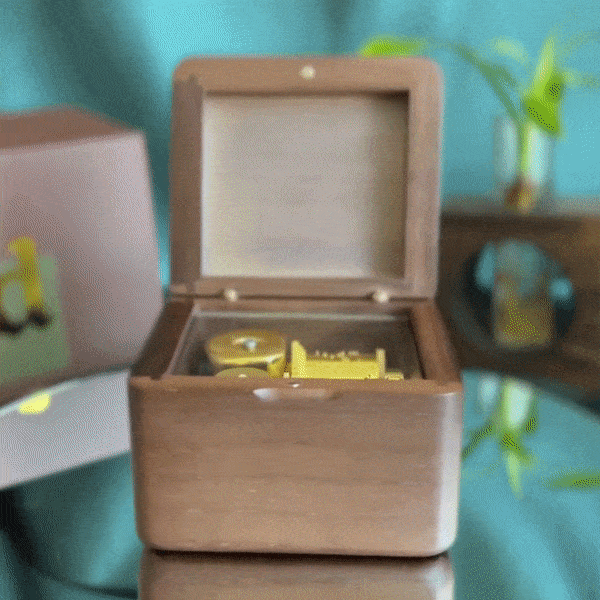 Koola - Small Music Box with Photo Frame - Donuma