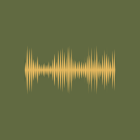 Audio File Sample - Donuma