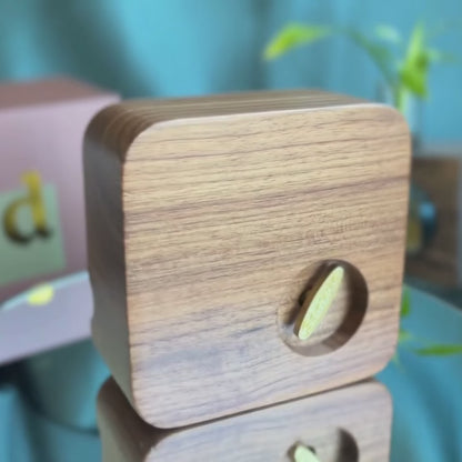 Naomi - Custom Song Music Box with Photo Frame